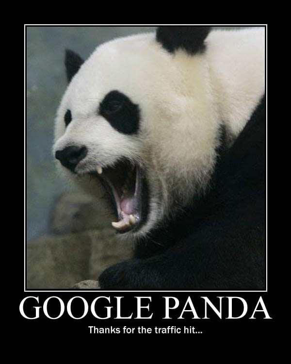 Google Panda Motivational Poster; Google Panda: thanks for the traffic hit