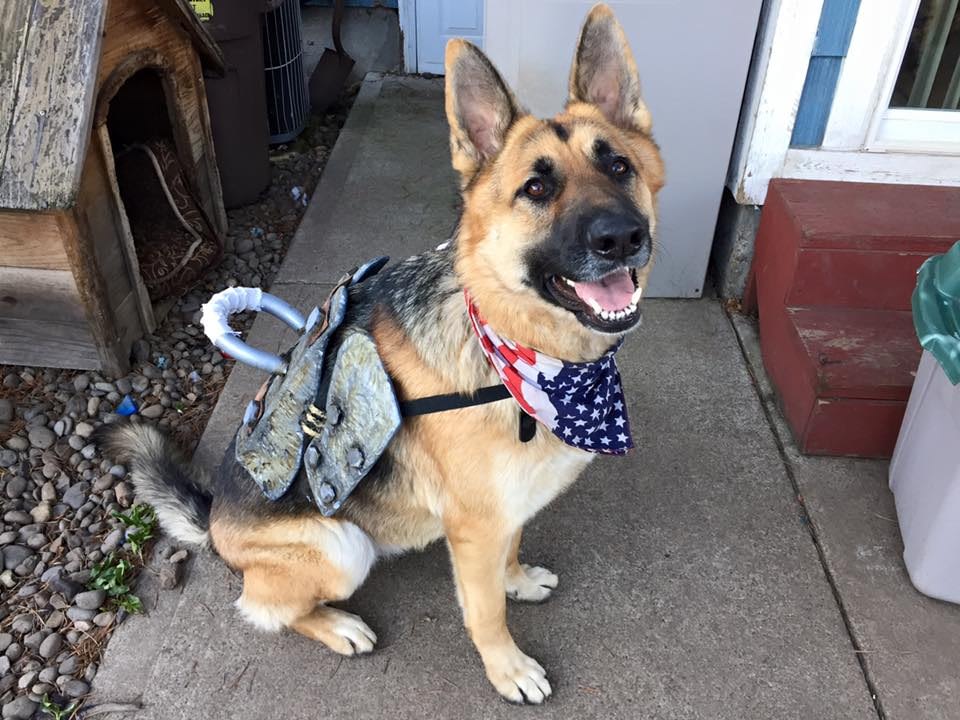 Fallout 4 Dogmeat cosplay is too adorable | GameZone