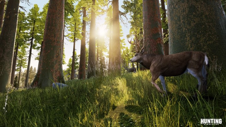 Hunting Simulator officially revealed, offers 'open wild' and co-op gameplay