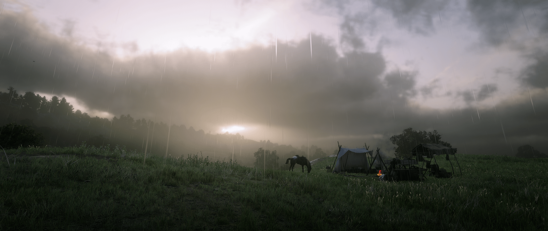 Red Dead Redemption 2 (for PC) Review